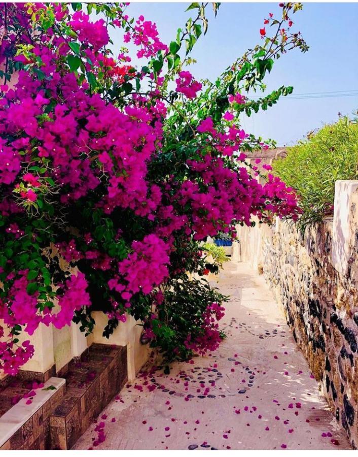 Loukas Kontos Traditional House Emporio  Exterior foto